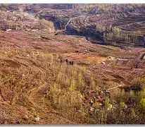 pg模拟器-复仇者联盟4国语迅雷下载